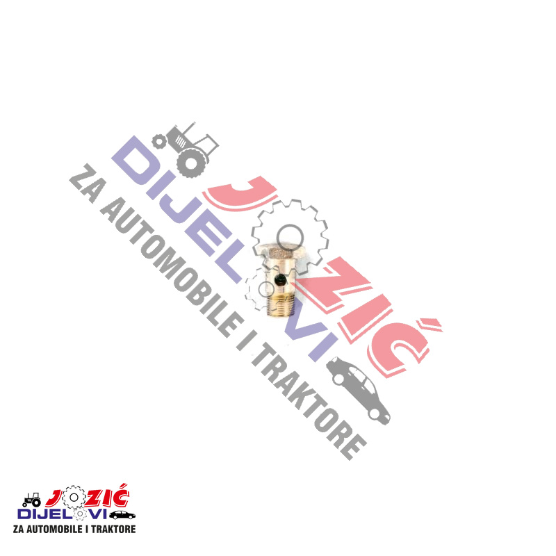 Daisy on the Ohoopee